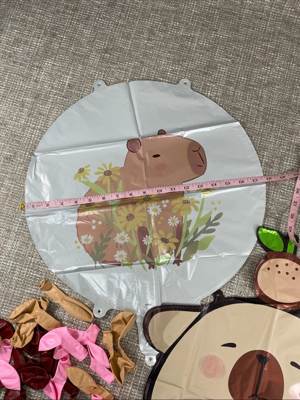 Happy Birthday Pink Party Backdrop Banner Capybara birthday party ballons